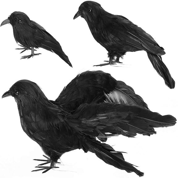 Darzheoy 3Pcs Halloween Black Crows, Halloween Realistic Black Feather Crows Halloween Party Outdoor Decorations Birds Prop