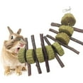 thumbnail image 1 of Darzheoy Bunny Chew Toys for Teeth, Organic Apple Wood Molar Sticks with Timothy Hay Circles for Bunny Chinchilla Guinea Pig Hamsters Squirrels, Improves Health, 1 of 8