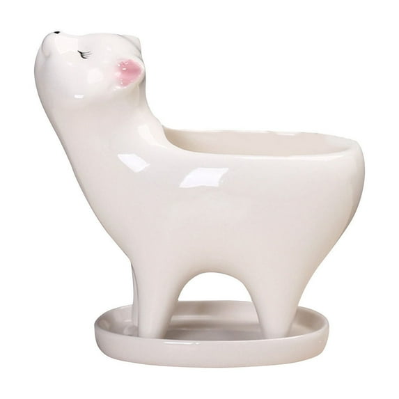 Darzheoy Cute Cat Ceramic Succulent Planter Pots with Saucer for Home Decor, Indoor Cute Animal Plant Pot White Ceramic Cactus Flower Pot