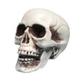 thumbnail image 1 of Darzheoy Halloween Skull Model Realistic Fake Simulation Human Skull Head Model Halloween Prop Realistic Mini Skeleton Spooky Halloween Decoration, 1 of 9