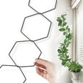 thumbnail image 1 of Darzheoy Hexagonal Iron Climbing Frame for Plants - Adjustable Flower Support for Pothos Ivy Roses, Sturdy Metal Chain Grids for Wall Garden Display, black, 1 of 8