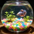 thumbnail image 1 of Darzheoy LED Glowing Aquarium Stones Decor, Glowing Ice Blocks and Night Light Stones, Submersible LED Stones, Aquarium Decoration, Party Centerpiece for Fish Tank, Vase, Pool, Home, Party, 1 of 6
