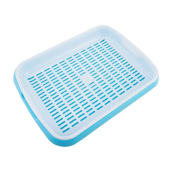 Darzheoy Seed Sprouter Tray with Drain Holes, BPA Free Seed Germination Propagation Trays, Soil-Free Wheatgrass Bean Sprouts Microgreens Growing Kit