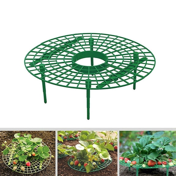 Darzheoy Strawberry Plant Support, Growing Rack to Keep Strawberries Off Rot in Rainy Weather, Garden Plant Stand for Balcony and Outdoor Use