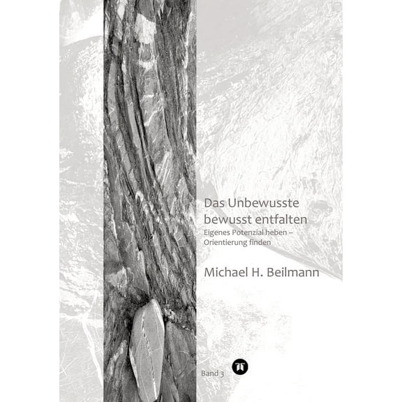 Das Unbewusste bewusst entfalten: Eigens Potenzial heben - Orientierung finden (Bd. 3), (Paperback)