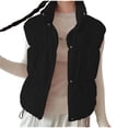 thumbnail image 1 of Dasayo House Women's Coats Puffer Casual Black Waistcoat Stand Collar Button up Sleeveless Vests for Women Trendy L, 1 of 6