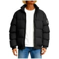 thumbnail image 1 of Dasayo Women's Coats Black Quilted Bomber Barn Zip up Winter Warm Coats Coatigan for Women L, 1 of 9