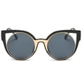 thumbnail image 1 of Dasein Fashion Round Polarized Sunglasses with Zigzag Arms, 1 of 4