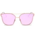 thumbnail image 1 of Dasein Retro Classic Trendy Stylish Polarized Sunglasses, 1 of 4