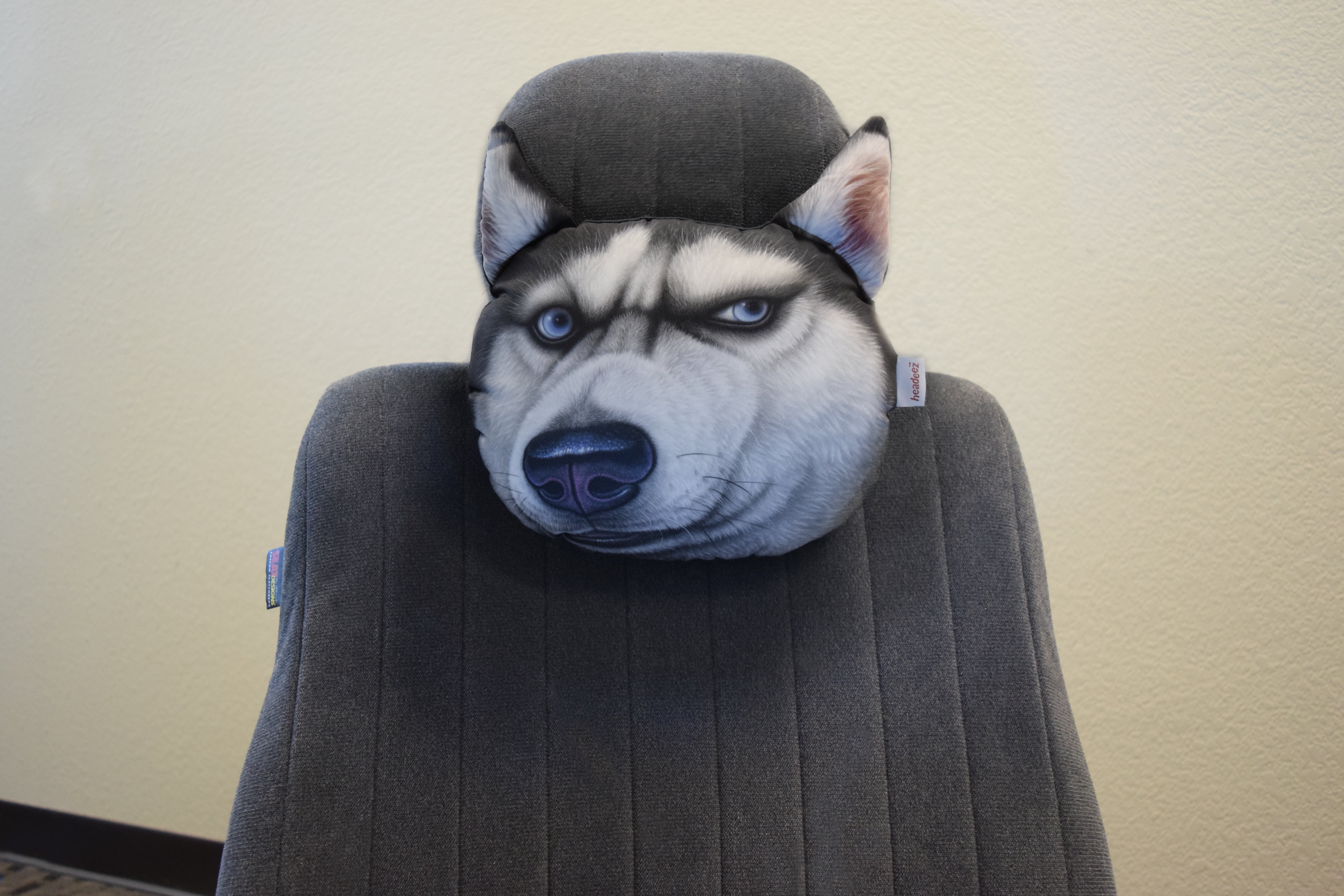 DUSTY HUSKY DhUuSsTkYy DLIP DINARY DELTA FORCE BLAHRMY DOWN NORTH Sylvanian Families Husky Family | Fenwick