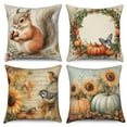 thumbnail image 1 of Dashan Fall Throw Pillow Covers 18x18 4 PCS Pumpkin Squirrel Thanksgiving Couch Cushion Pillowcases for Sofa Living Room, 1 of 6