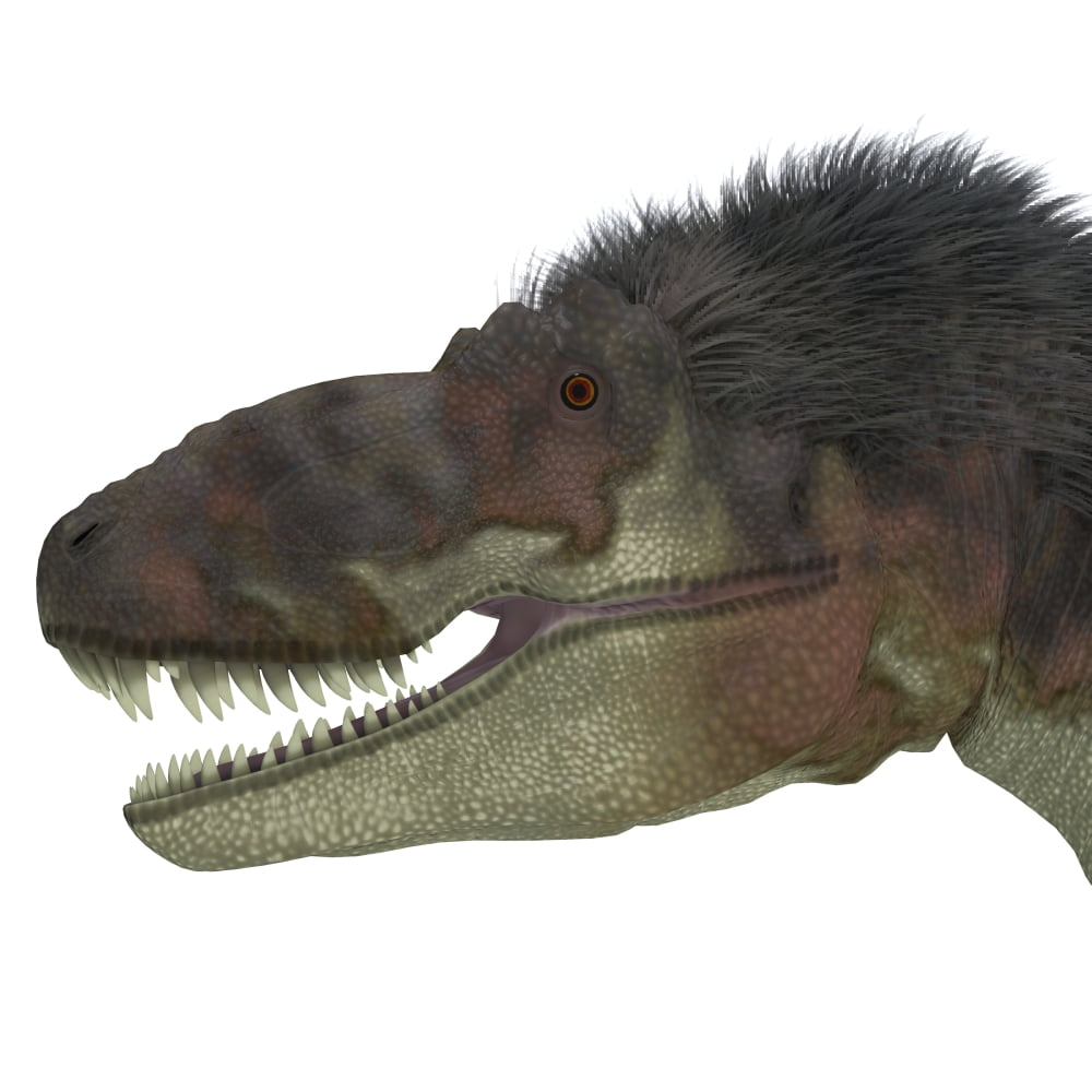 Daspletosaurus dinosaur head Canvas Art - Corey FordStocktrek Images (29 x 29)