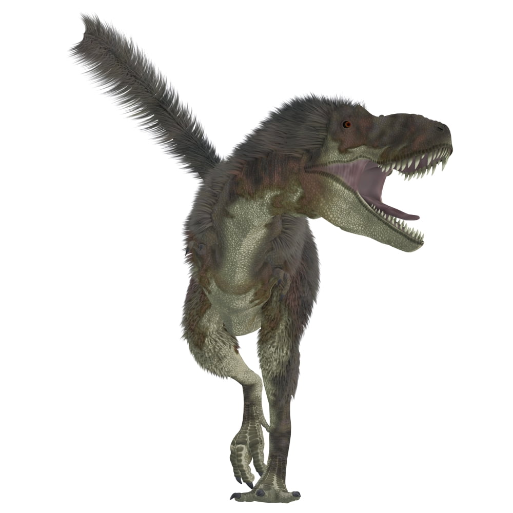 Daspletosaurus dinosaur white background Canvas Art - Corey FordStocktrek Images (29 x 29)