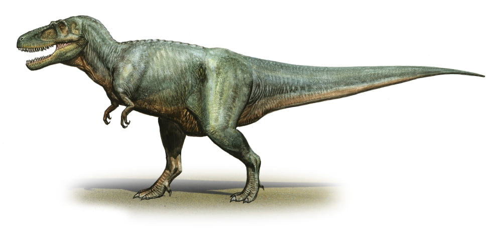 Daspletosaurus torosus a prehistoric era dinosaur Canvas Art - Sergey KrasovskiyStocktrek Images (41 x 19)