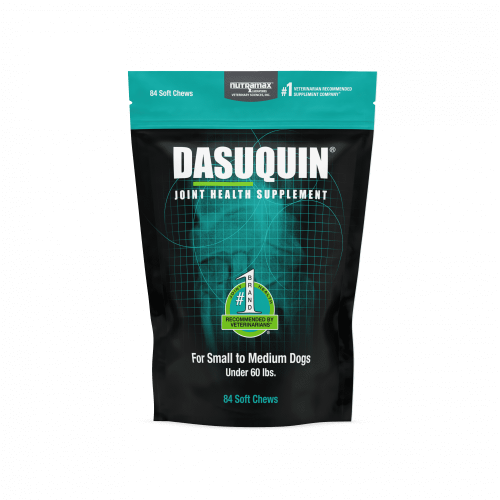 Dasuquin Premium Joint Health Supplement Mobility Hip Support Soft Chews for Small Medium Dogs 84ct Walmart