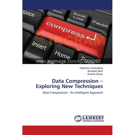 Data Compression - Exploring New Techniques (Paperback)