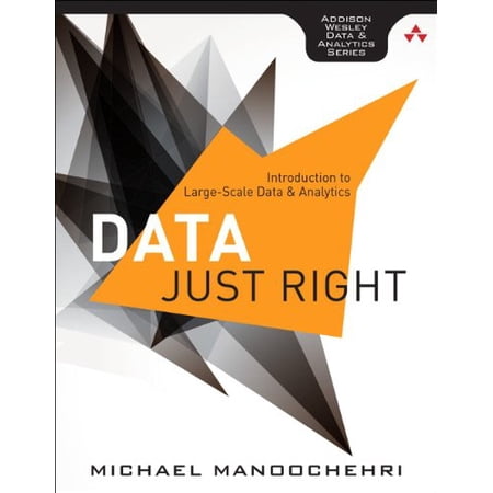Pre-Owned Data Just Right: Introduction to Large Scale Data & Analytics (Addison-Wesley Data and Analytics): Introduction to Large-Scale Data & Analytics Paperback