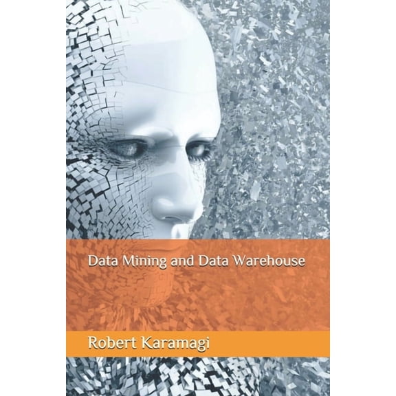 Data Mining and Data Warehouse (Paperback)