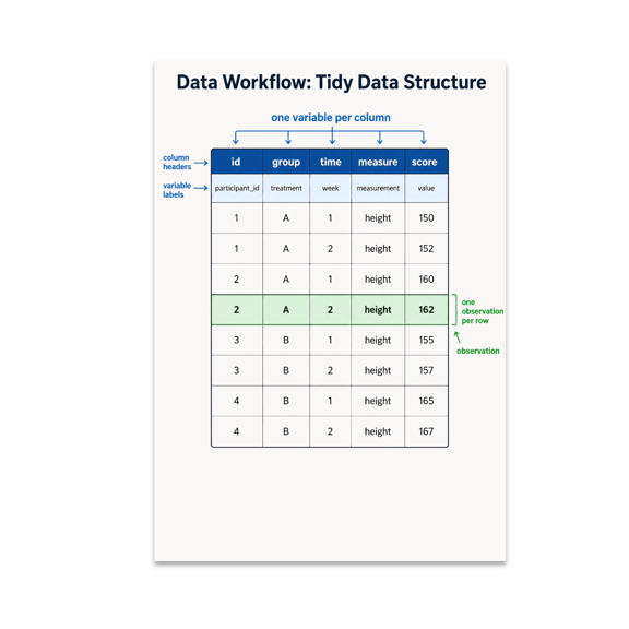 Data Workflow Tidy Data Structure Educational Reference - Tech Classroom - 13x19 Poster Print