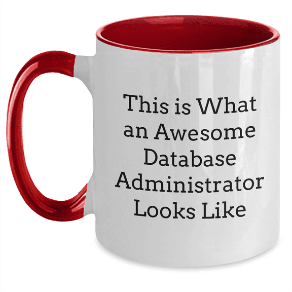 Database Administrator Appreciation Funny Two Tone Coffee Mug Gifts for DBA on Birthday, Unique Inspirational Encouragement Mugs for Database Admin Professionals