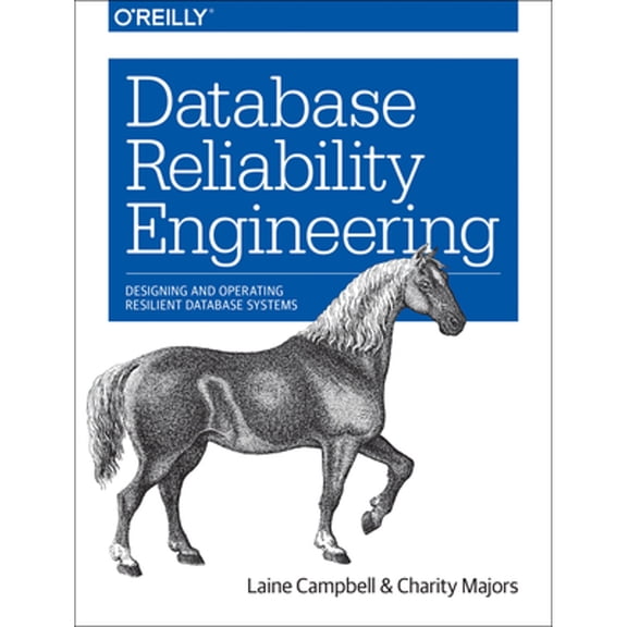 Pre-Owned Database Reliability Engineering: Designing and Operating Resilient Database Systems (Paperback) 1491925949 9781491925942