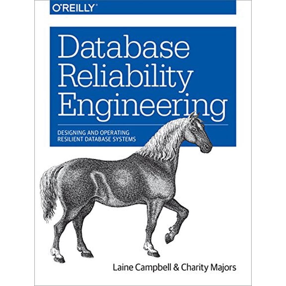 Pre-Owned Database Reliability Engineering: Designing and Operating Resilient Database Systems (Paperback) 1491925949 9781491925942