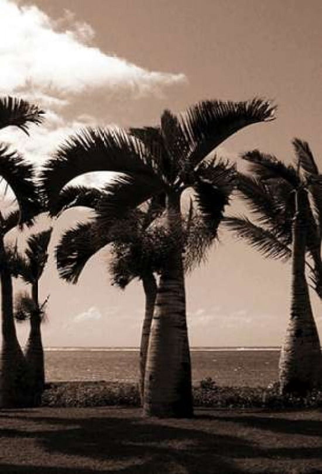 Date Palm Mauritius Canvas Art - Cyril Blue (12 x 18)