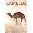 thumbnail image 1 of Datos Divertidos Sobre Animales del Zool Camello: Datos divertidos sobre animales del zoolÃ³gico para niÃ±os #9, (Paperback), 1 of 1