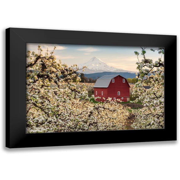 Daultich, Nick 18x13 Black Modern Framed Museum Art Print Titled - Fairytale Barn
