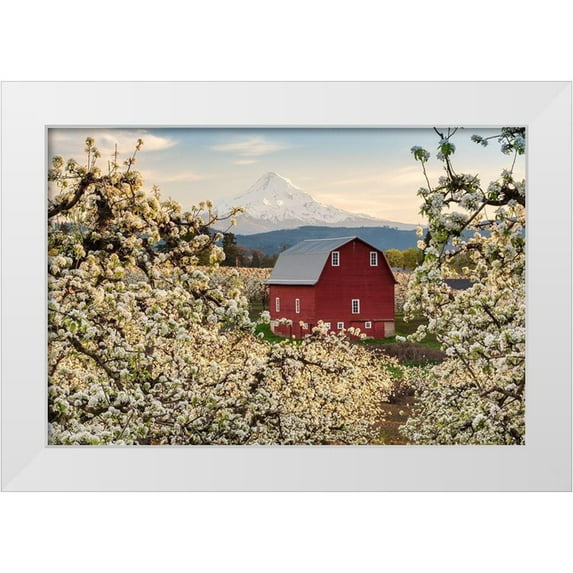 Daultich, Nick 18x13 White Modern Wood Framed Museum Art Print Titled - Fairytale Barn