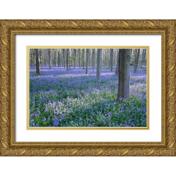Dautlich, Nick 18x13 Gold Ornate Wood Framed with Double Matting Museum Art Print Titled - Bluebell Dreams I