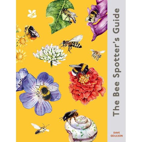 Dave Goulson The Bee Spotters Guide (Hardcover) National Trust