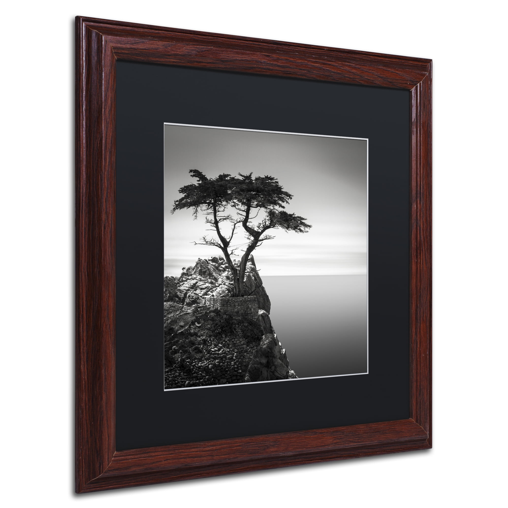 Dave MacVicar The Lone Cypress Matted Framed Wall Art