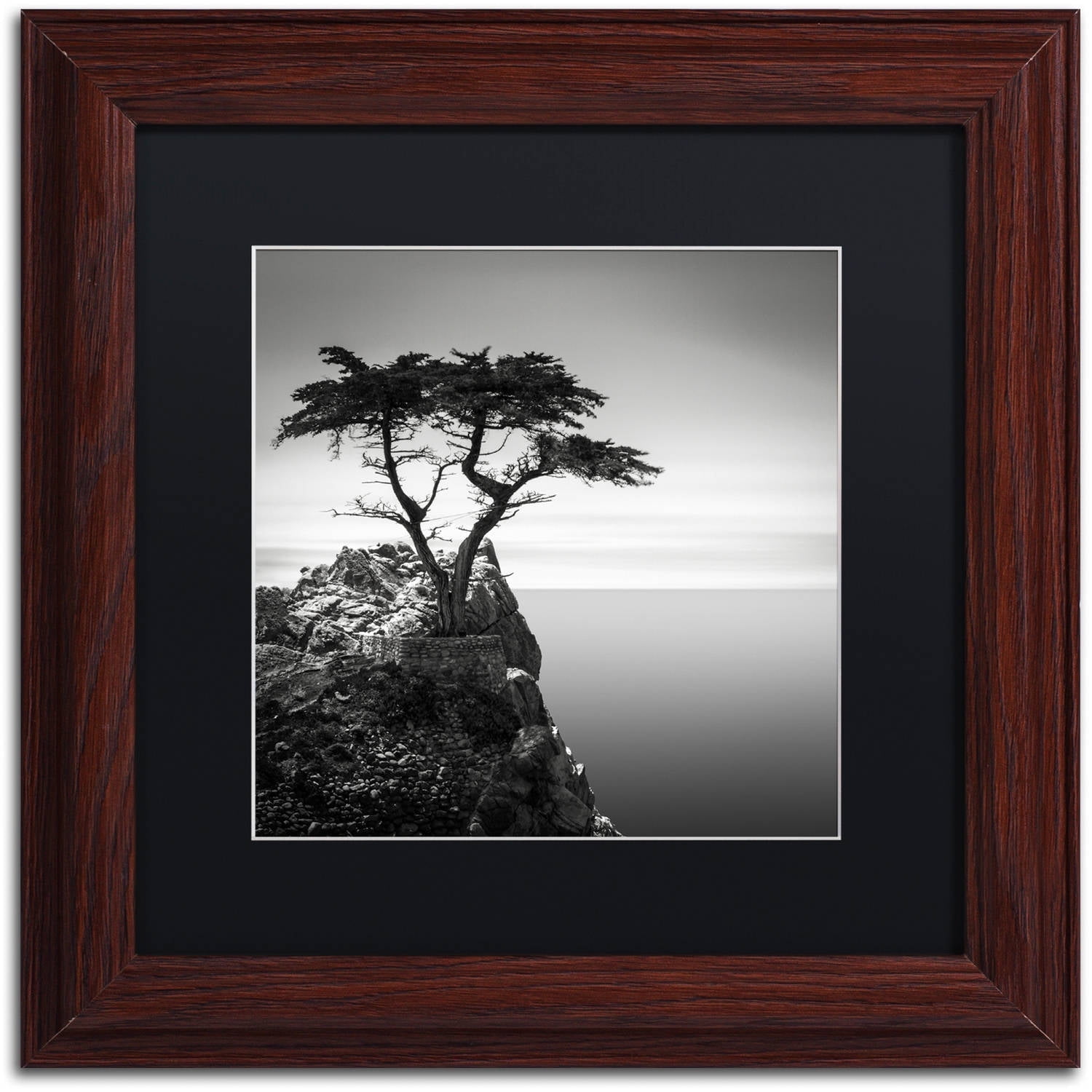 Dave MacVicar The Lone Cypress Matted Framed Wall Art
