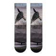 thumbnail image 1 of Dave Nelson Whale Crew Socks, 1 of 5