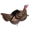 thumbnail image 1 of Dave Smith Decoys DSD Posturing Jake Turkey Decoy, 1 of 4