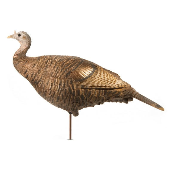 Dave Smith Decoys DSD Leading Hen Turkey Decoy
