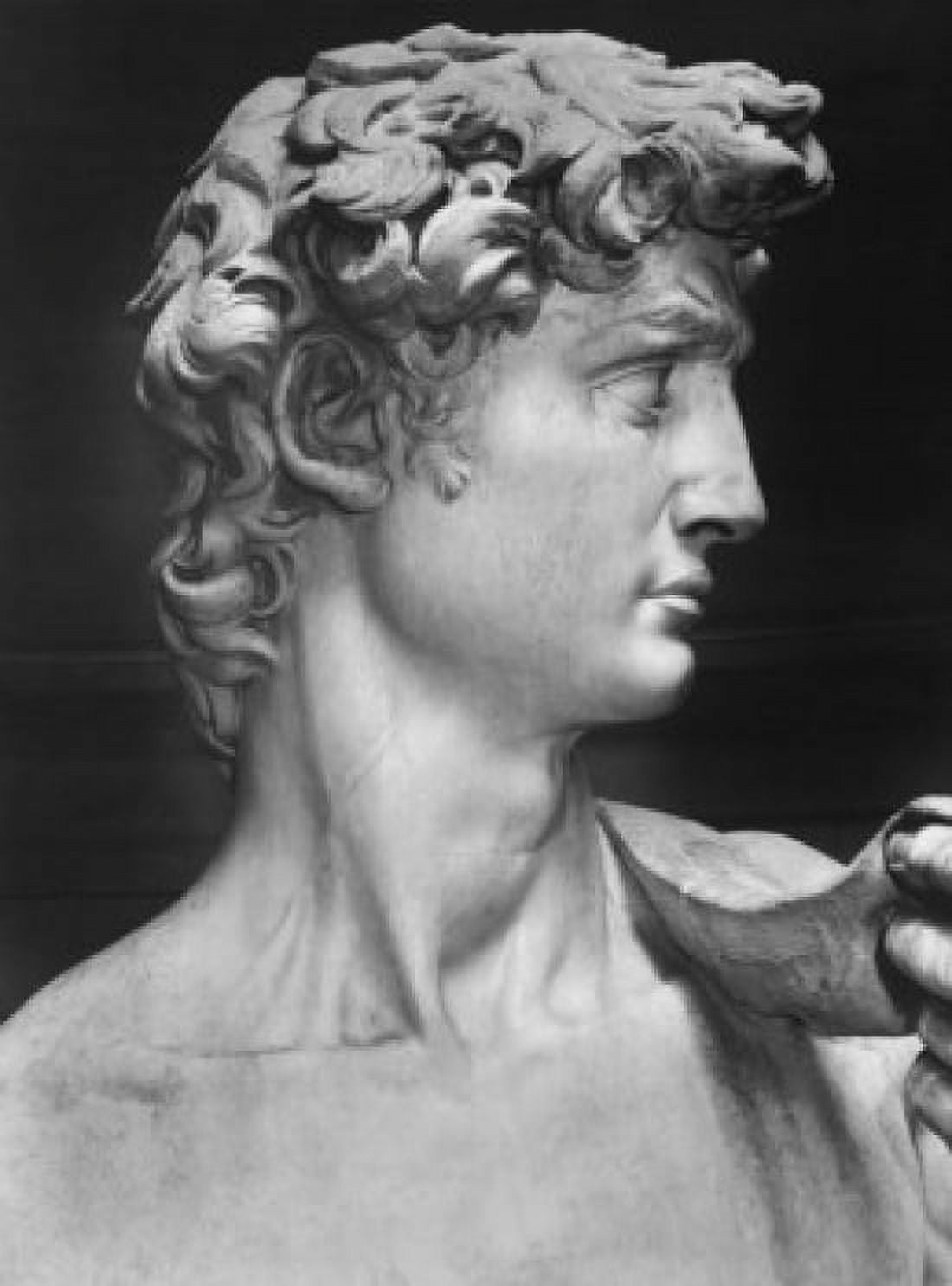 David 1501-1504 Michelangelo Buonarroti (1475-1564 Italian) Marble Galleria dell Accademia Florence Italy Canvas Art - Michelangelo Buonarroti (18 x 24)