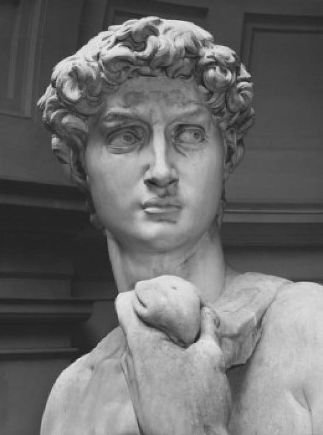 David 1501-1504 Michelangelo Buonarroti (1475-1564 Italian) Marble Galleria dell Accademia Florence Italy Canvas Art - Michelangelo Buonarroti (24 x 36)