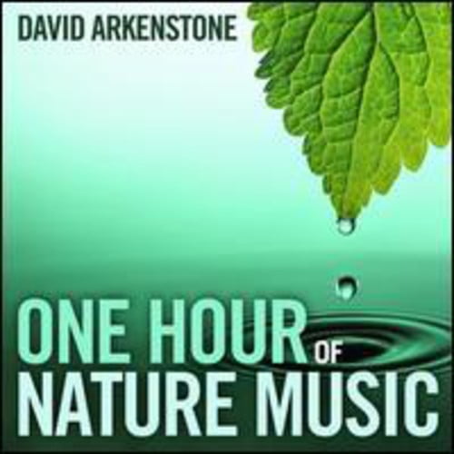 David Arkenstone - One Hour of Nature Music - Music & Performance - CD