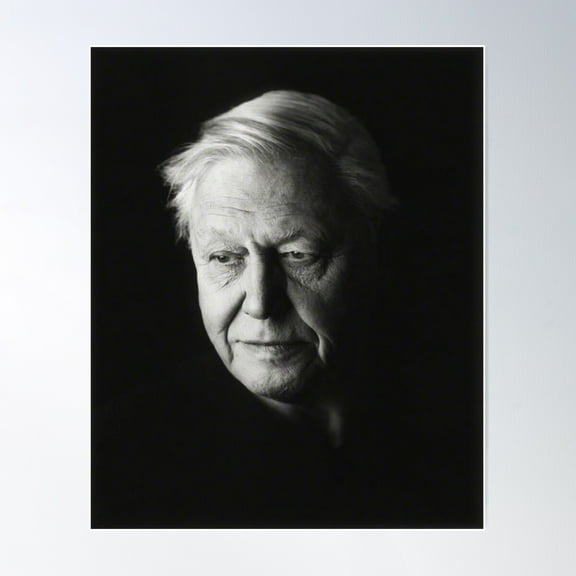 David Attenborough Black And White Rip Poster Wall Art, Modern Wall Decor For Living Room Bedroom, 24x36 UNFRAMED