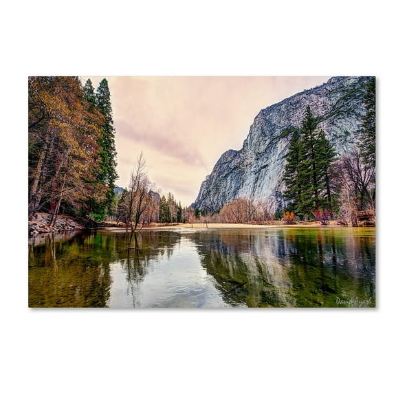 David Ayash 'Yosemite Valley' Canvas Art