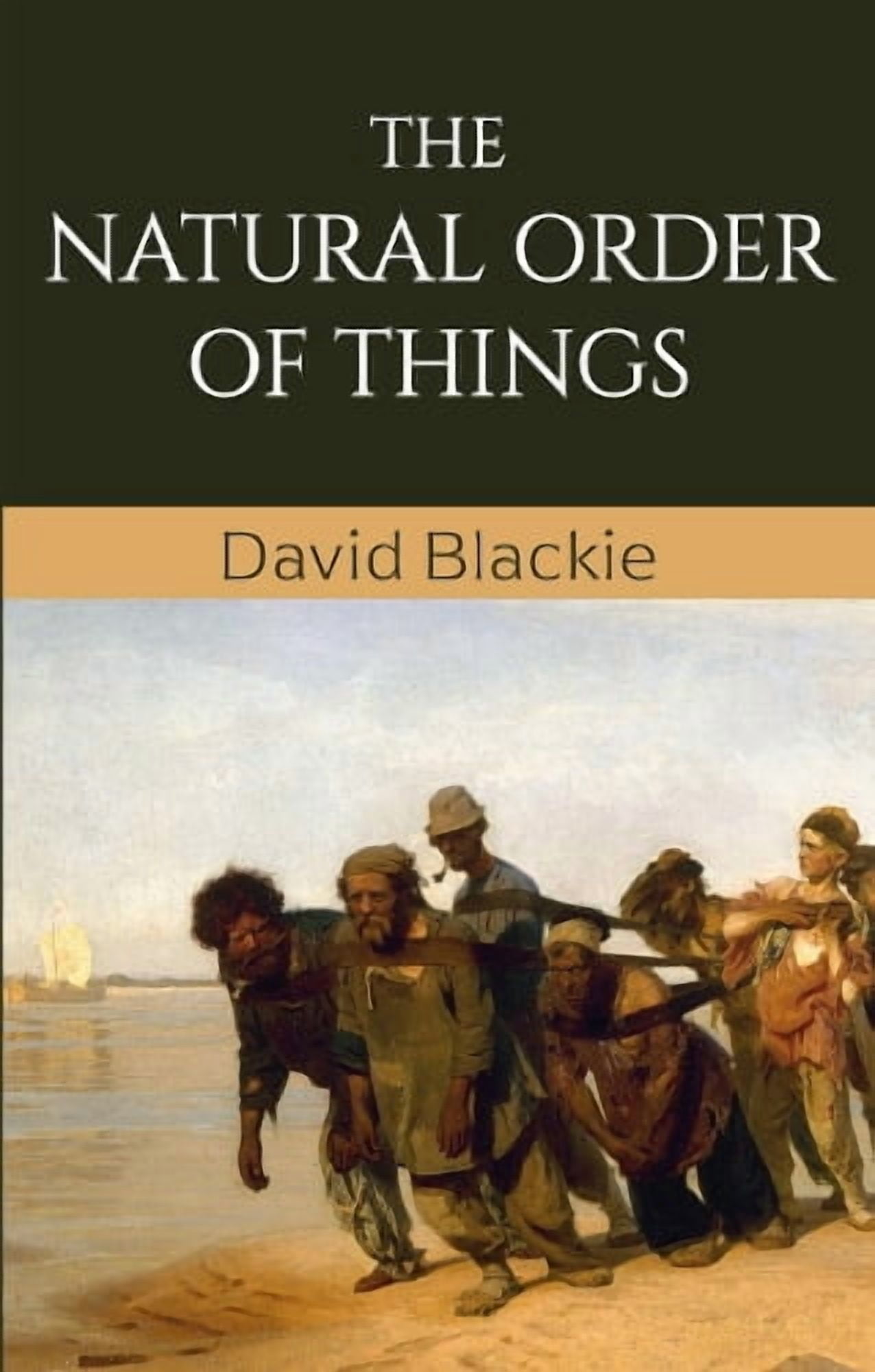 David Blackie The Natural Order of Things (Paperback) - Walmart.com