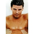 thumbnail image 1 of David Boreanaz Poster Metal Print 12In x 16In 12x16 Multi-Color Square Adults Poster Time, 1 of 3
