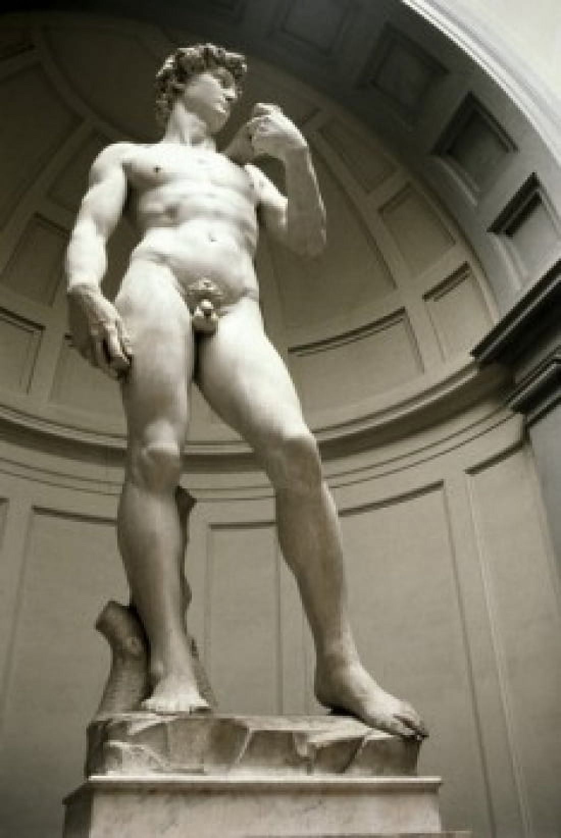 David (Bottom View) Michelangelo Buonarroti 1475-1564 Florentine Galleria Dell Academia Florance Canvas Art - Michelangelo Buonarroti (24 x 36)