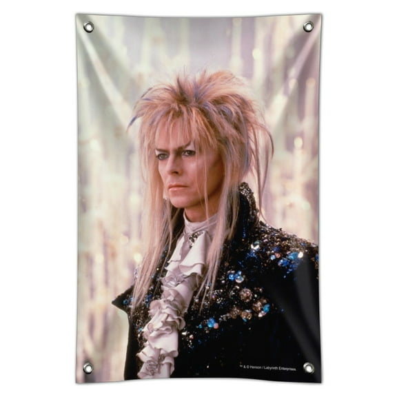 David Bowie As Jareth From The Labyrinth Candles Background Home Business Office Sign