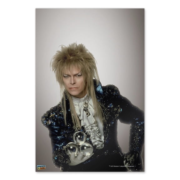 David Bowie As Jareth From The Labyrinth Home Business Office Sign