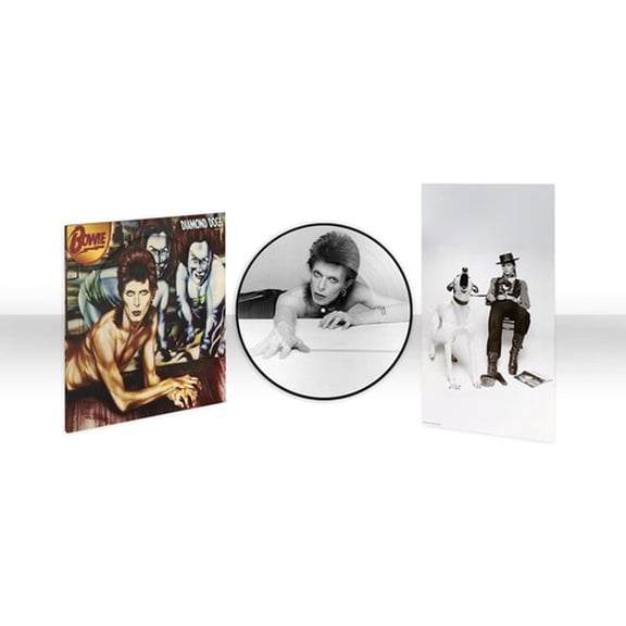 David Bowie - Diamond Dogs (50th Anniversary Picture Disc) - Music & Performance - Vinyl