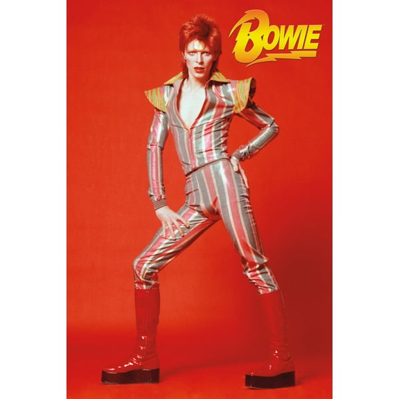 David Bowie Glam Rock 1973 Aladdin Sane Tour Music Poster 24x36 inch