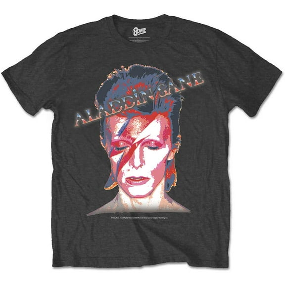 David Bowie Unisex T-Shirt Aladdin Sane (X-Large)